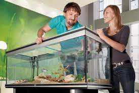 Gemakkelijk en snel: Aquarium kopen online