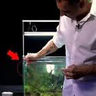 onderhoudstips aquarium