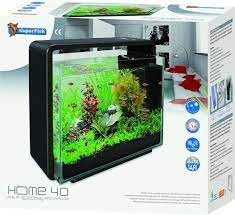 40 liter aquarium