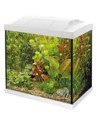 aquarium 25 liter