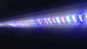 Verlicht je Aquarium met Duurzame LED-verlichting