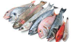Ontdek de Diversiteit van Soorten Vis Eten