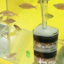 Optimaliseer de Waterkwaliteit van je Aquarium met een Effectieve Filter