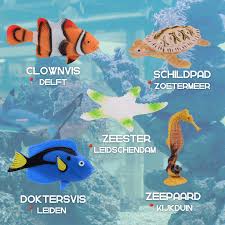 Ontdek de Magie van Zeeaquarium Vissen: Prachtige Bewoners van de Onderwaterwereld