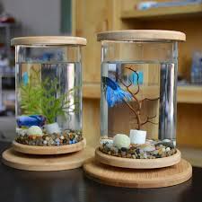 Ontdek de Essentiële Vissenkom Accessoires voor een Prachtig Aquarium!