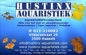 Ontdek de Magie van Aquaristiek: Een Duik in de Onderwaterwereld