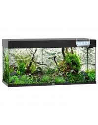 aquarium te koop