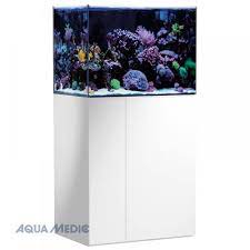 zeeaquarium winkel