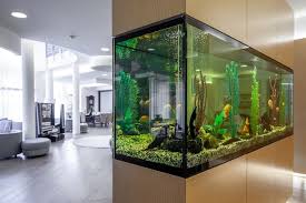 Het Belang van een Groot Aquarium voor Gelukkige Vissen