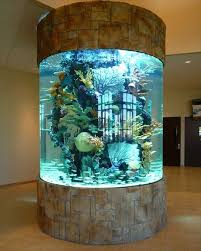 rond aquarium