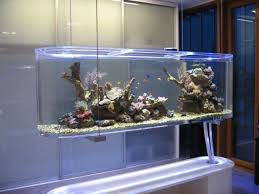 groot aquarium kopen