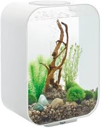 klein aquarium kopen