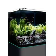 nano aquarium kopen