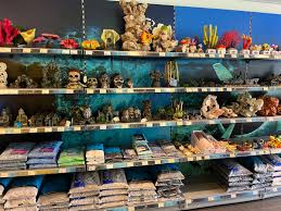 Ontdek de Betoverende Wereld van Aquariums in Onze Winkel