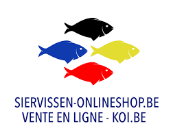 winkel vissen