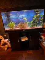 Tips voor het Kopen van een Tweedehands Aquarium