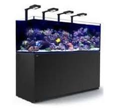 zeeaquarium winkel nederland