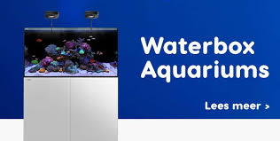 zoutwater aquarium winkel