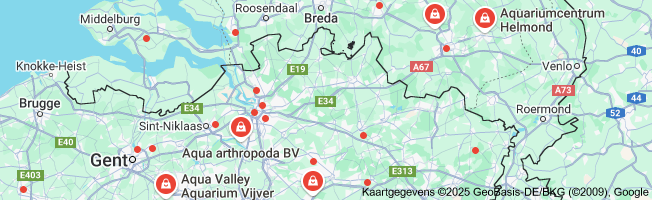 stenen aquarium kopen