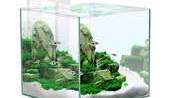 Mini Aquarium Kopen: Breng Leven en Kleur in je Interieur!
