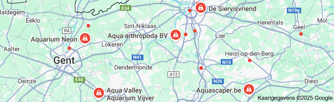 Koop de Perfecte Nachtverlichting voor je Aquarium