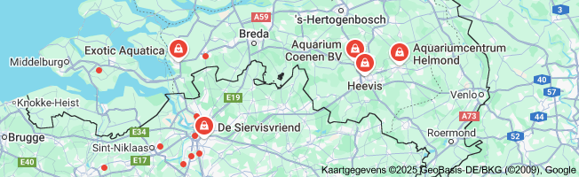 nieuw aquarium kopen