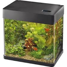 panorama aquarium