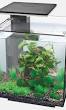 design aquarium kopen