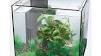 design aquarium te koop