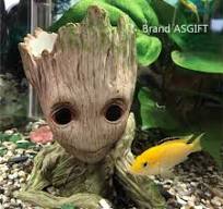 grote aquarium ornamenten