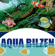 Ontdek de Magie van Aquaria bij Aquariumwinkel Limburg, België