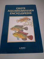 beginners aquarium kopen