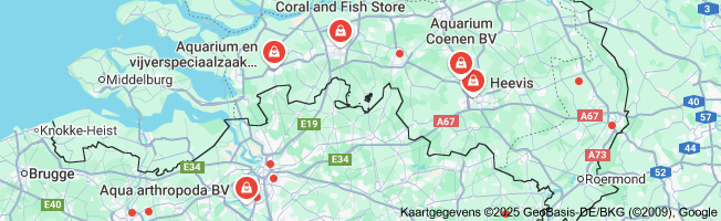 Zeeaquarium vissen kopen: Tips en Advies voor Aquariumliefhebbers
